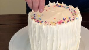 add sprinkles how to travel with a cake in your suitcase