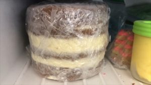 cake in freezer how to travel with a cake in your suitcase