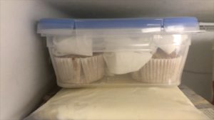 cupcakes in freezer how to travel with a cake in your suitcase