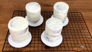 crumb coated mini cakes for how to make mini cakes