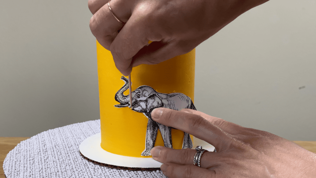 outline image onto the frosting on a cake How to Paint on Cakes