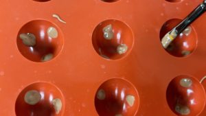how to make leopard print chocolates for trendy neon leopard print cake