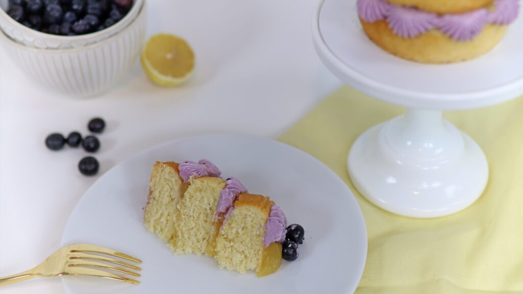 slice of lemon and blueberry cake