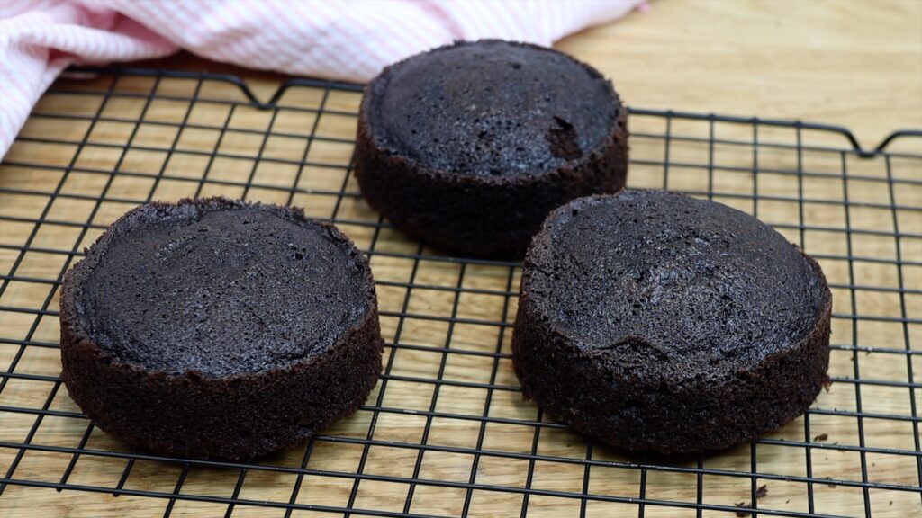 Small Batch Chocolate cake layers