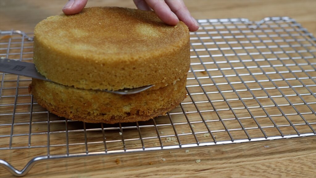 dividing cake layers for an extra tall Double Barrel Cakes