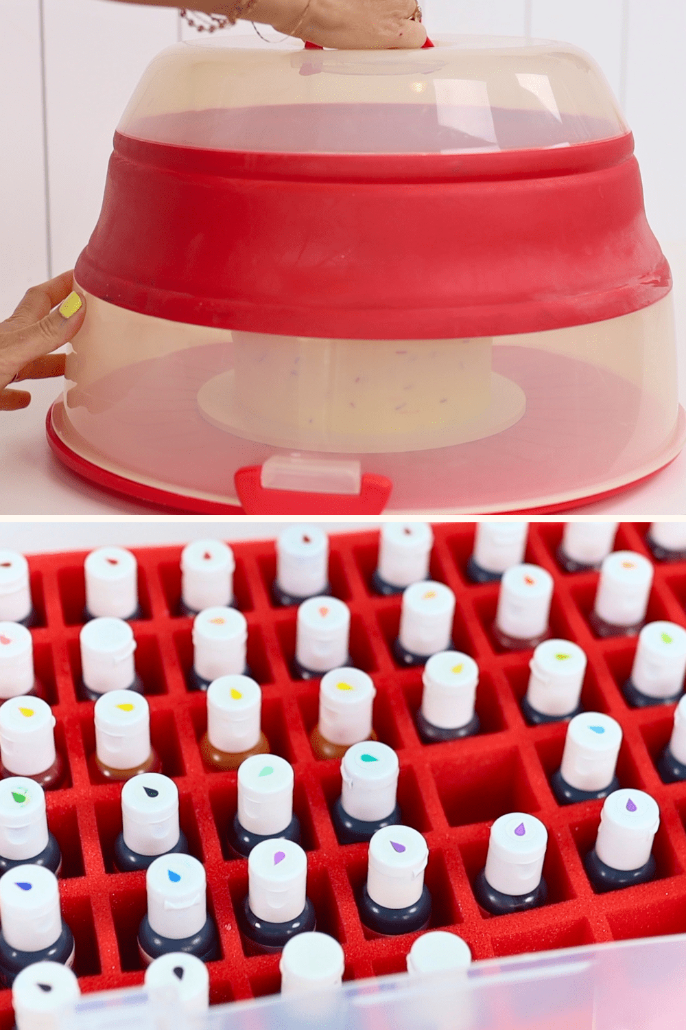 cake in a storage container and bottles of food colouring in a storage case