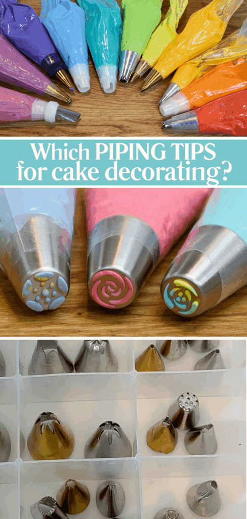 Which Piping tips for cake decorating