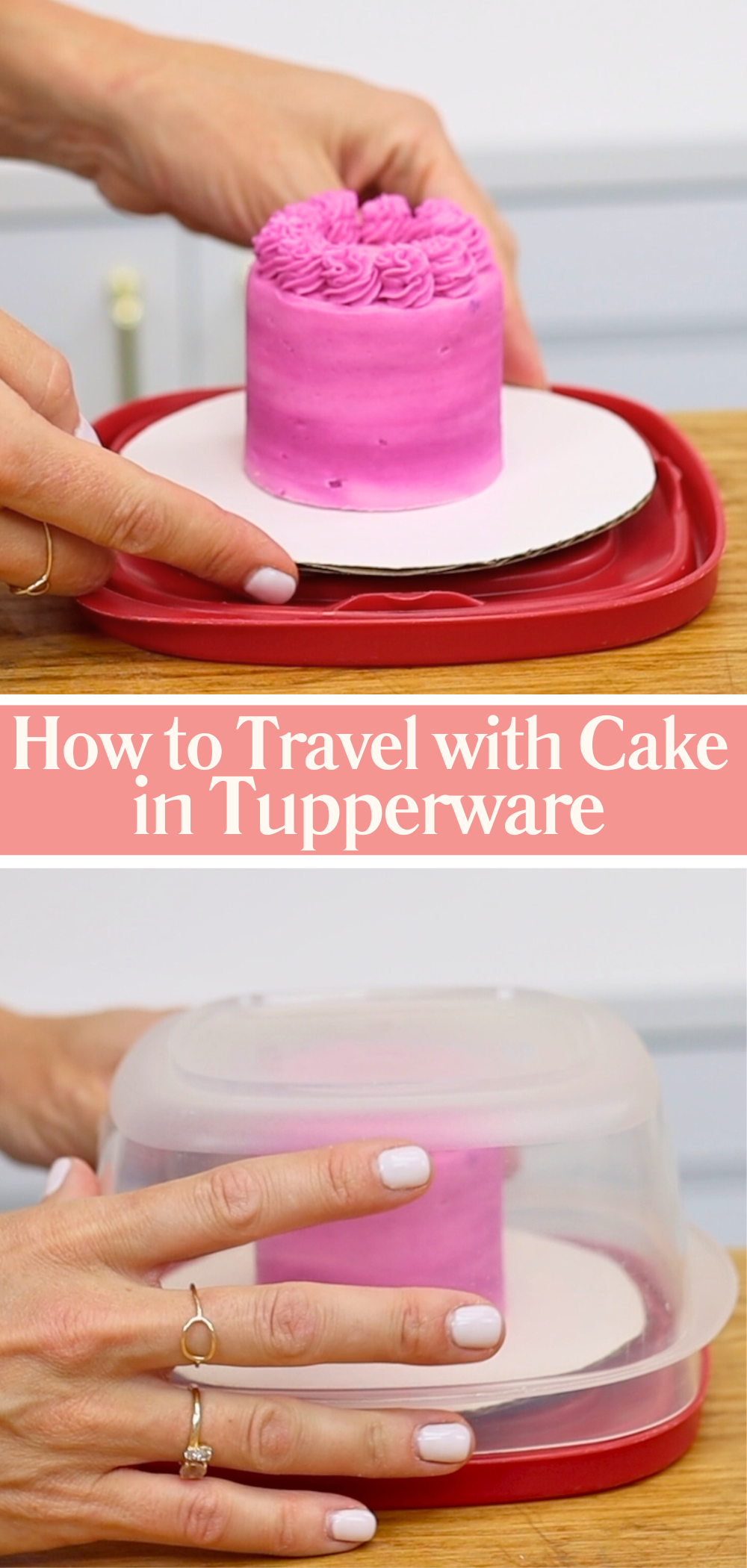 Cake positioned on an upside-down Tupperware lid with container lowered over it